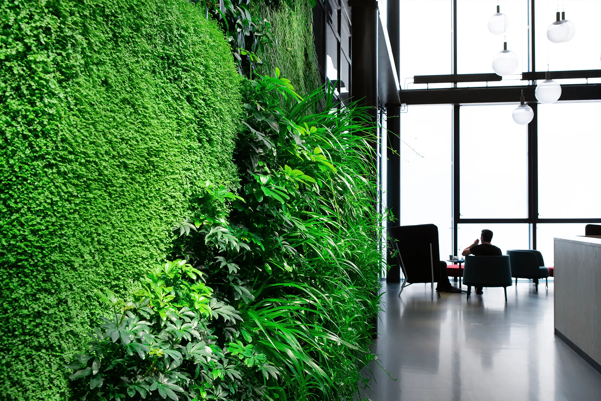 Eden Hyllie, Vertikal växtvägg inomhus