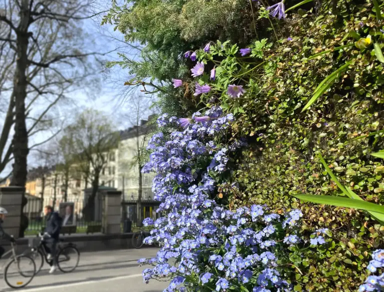 Storgatan 1, vertikala växtväggar utomhus
