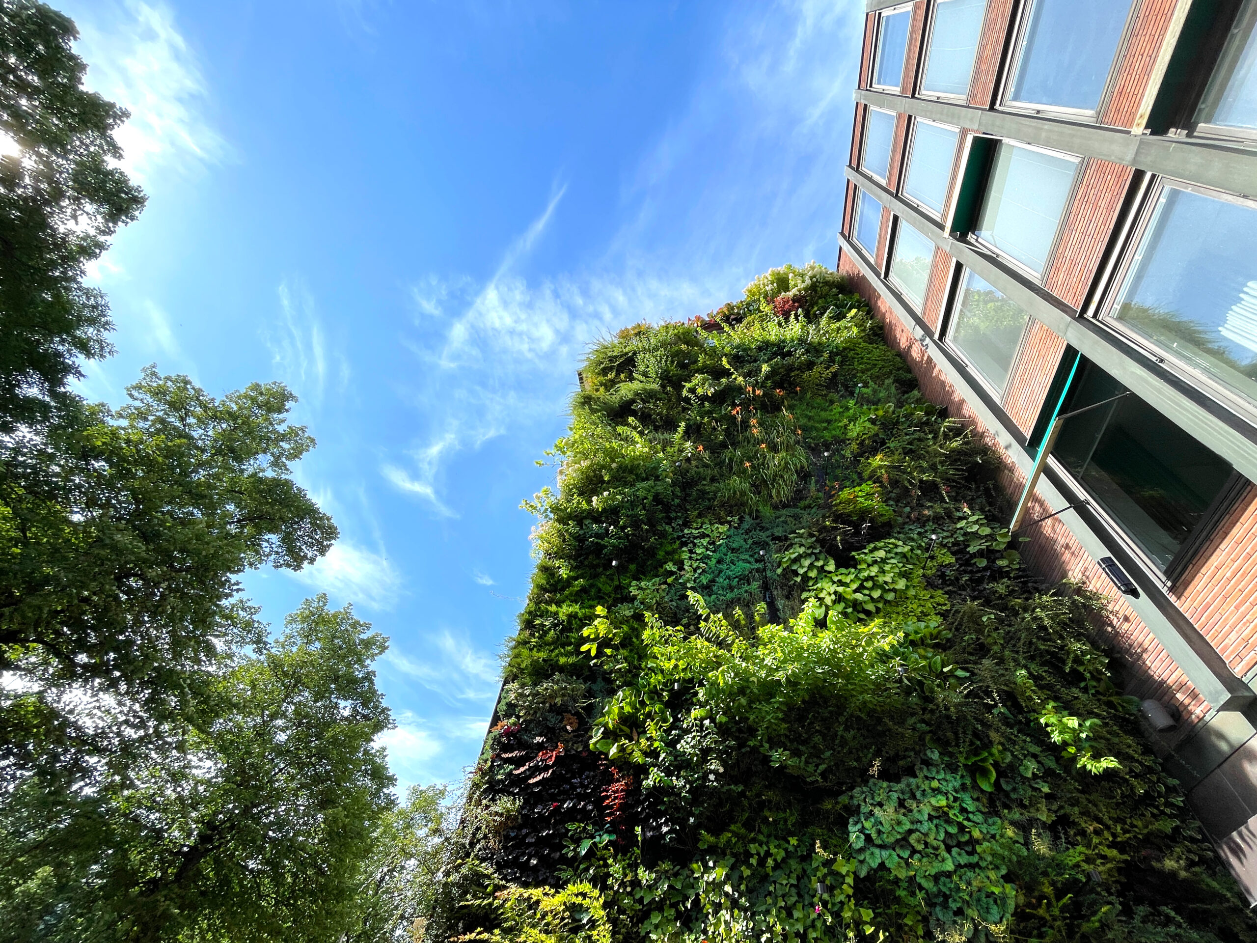 storgatan1 outdoor vertical garden stockholm 2023.08 greenworks 06 scaled