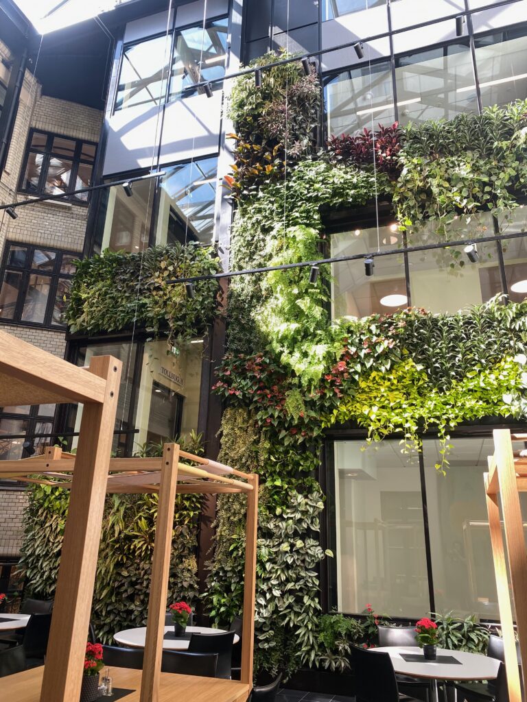 Inomhus ljuddämpande växtvägg i Oslo