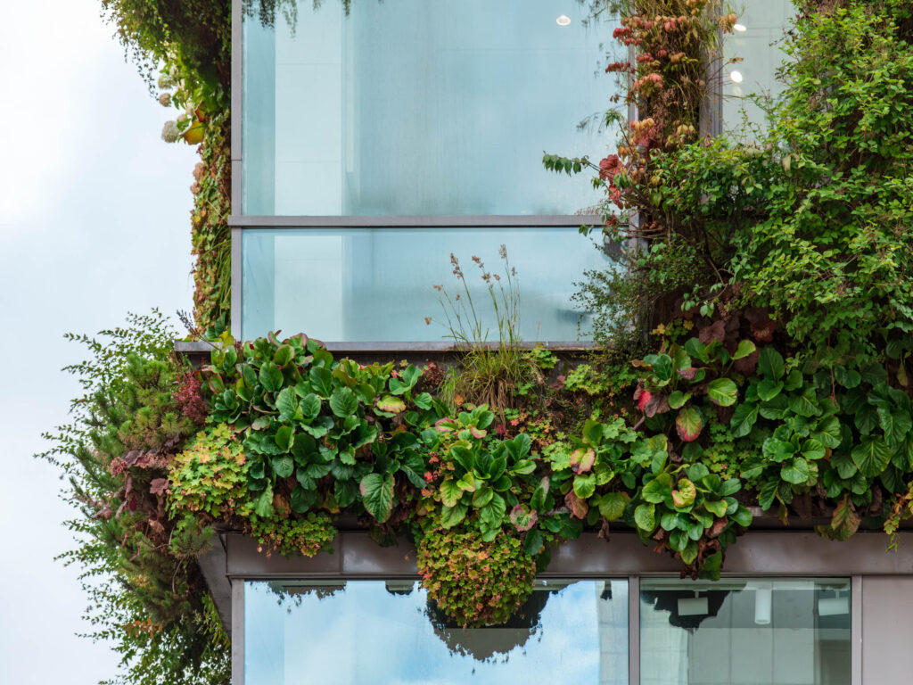 Greenworks vertikala trädgårdar utomhus. Blåmannen på Drottninggatan