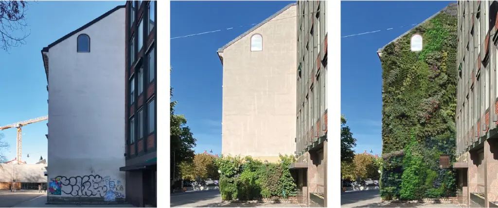 Storgatan 1, före och efter växtvägg