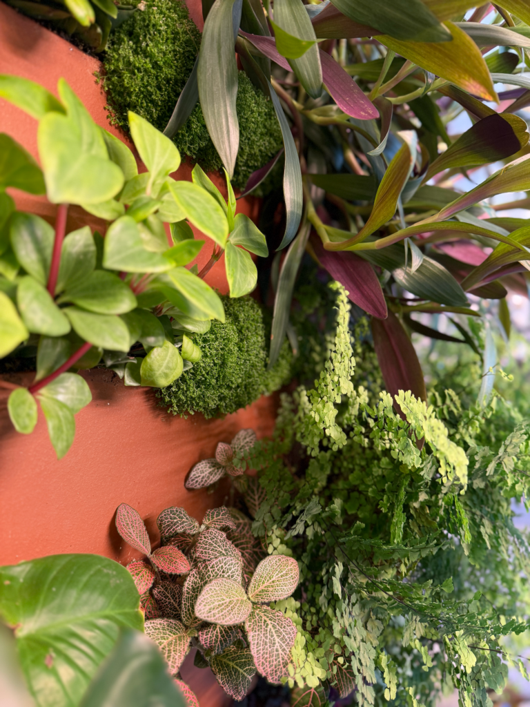 Leafy Solutions