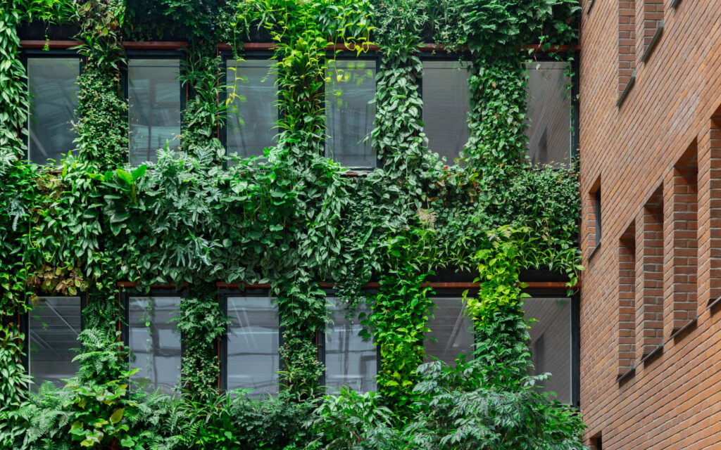 Greenhouse