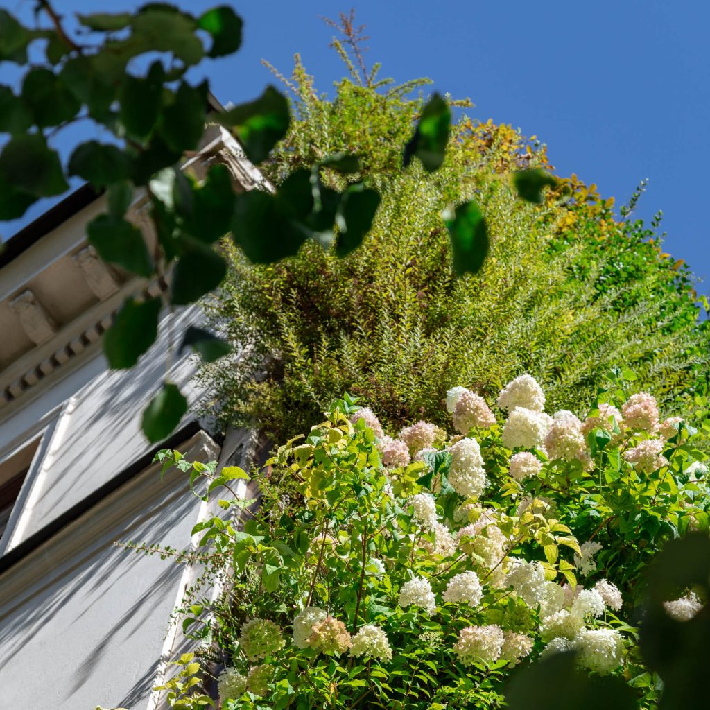 07 GW Storgatan 1 ph_ST