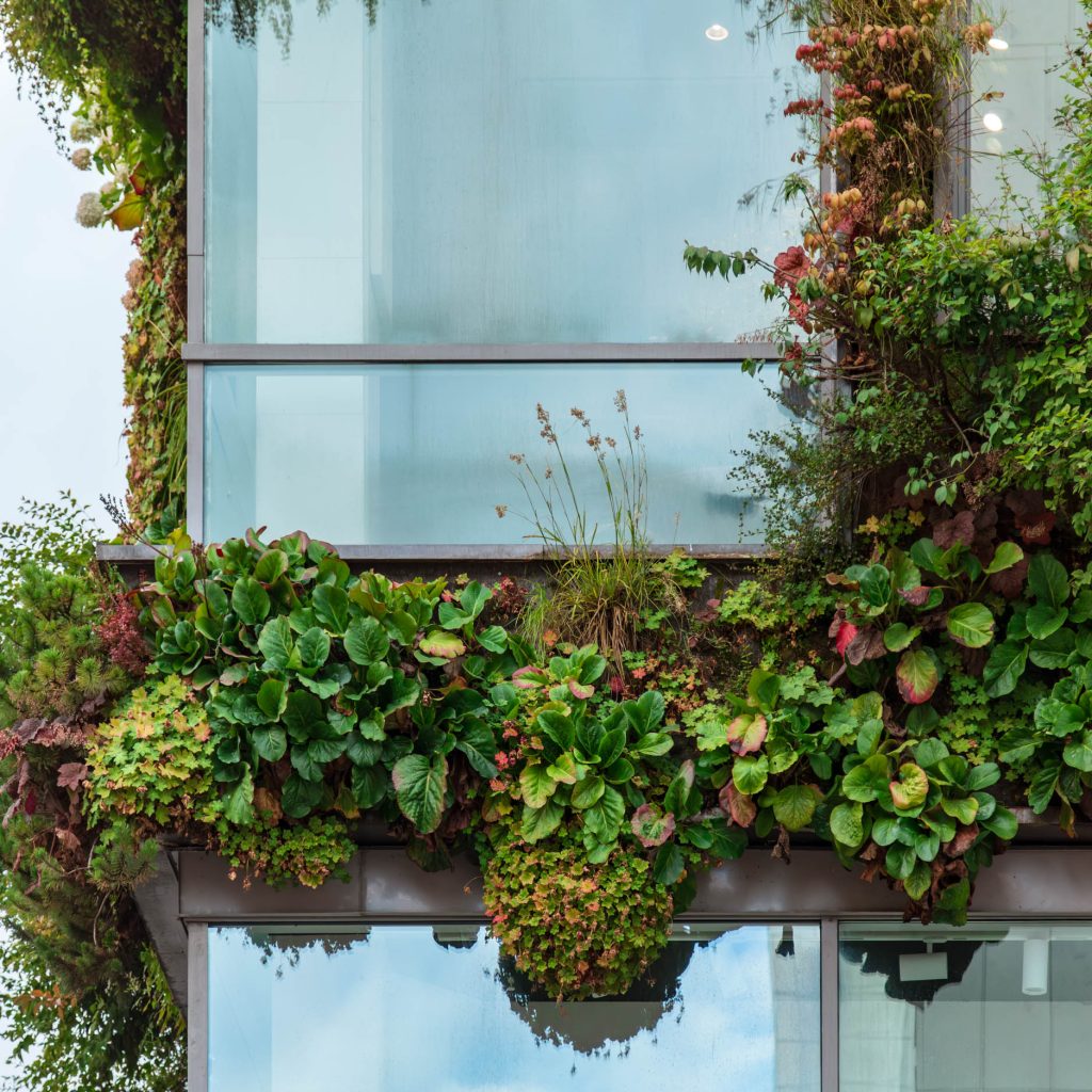Greenworks vertikala trädgårdar utomhus. Blåmannen på Drottninggatan