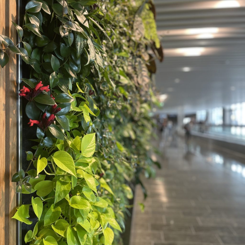 Arlanda-airport-indoor-vertical-garden-stockholm-2022.08-greenworks_02