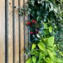 Arlanda-airport-indoor-vertical-garden-stockholm-2022.08-greenworks_03