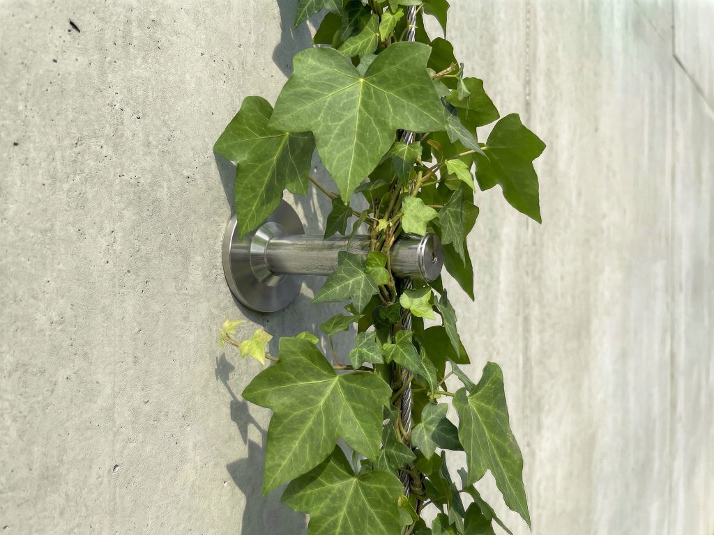 Leafy-Line-Murgrona-rendering