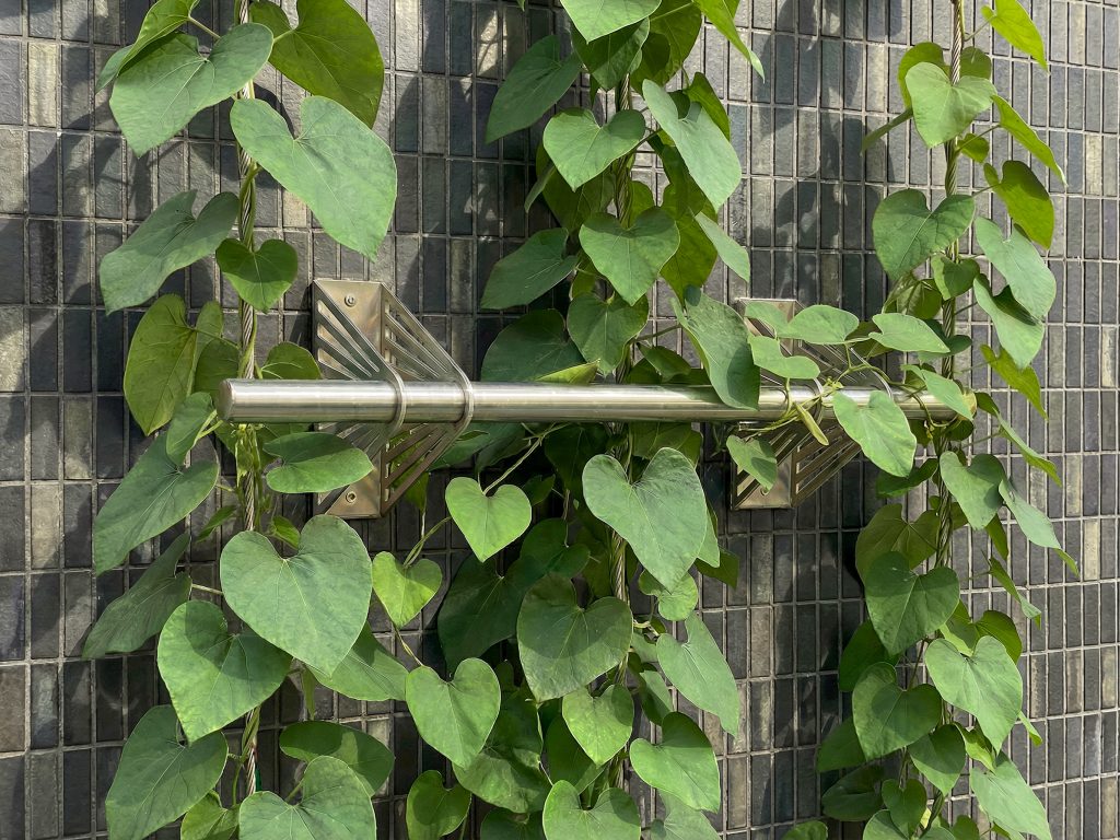 Leafy-Lines-Rendering-vaxtvajrar