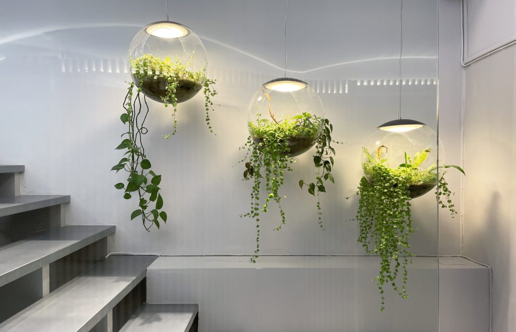 babor-greenery-babylone-stockholm-2022-greenworks_01