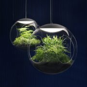 babylone-hanging-garden-plant-pendant-light-clear-greenworks (2)