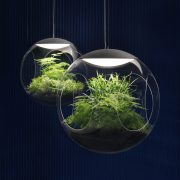 babylone-hanging-garden-plant-pendant-light-clear-greenworks (2)
