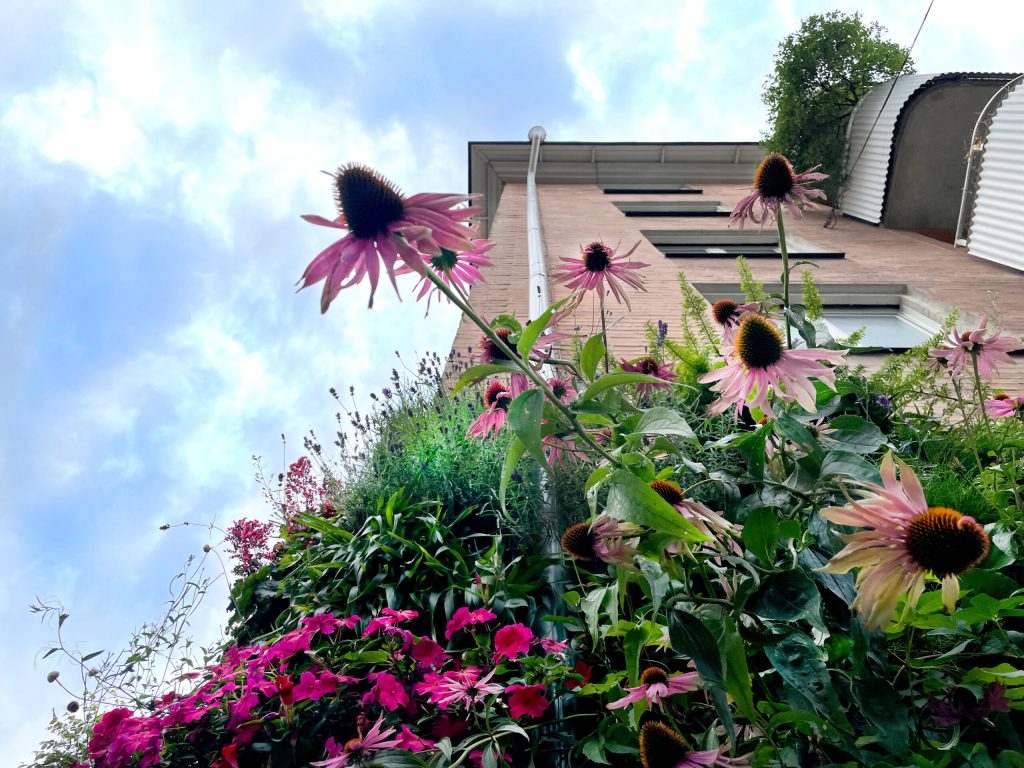 bravida-greenhub-outdoor-vertical-garden-stockholm-2023.08-greenworks_10