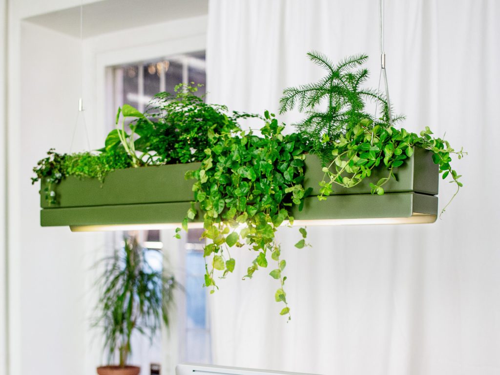 bridge-led-hanging-garden-plant-pendant-light-greenworks_06