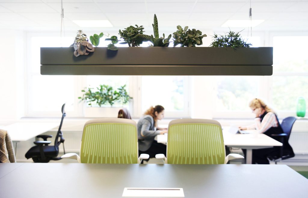 bridge-led-hanging-garden-plant-pendant-light-greenworks_10