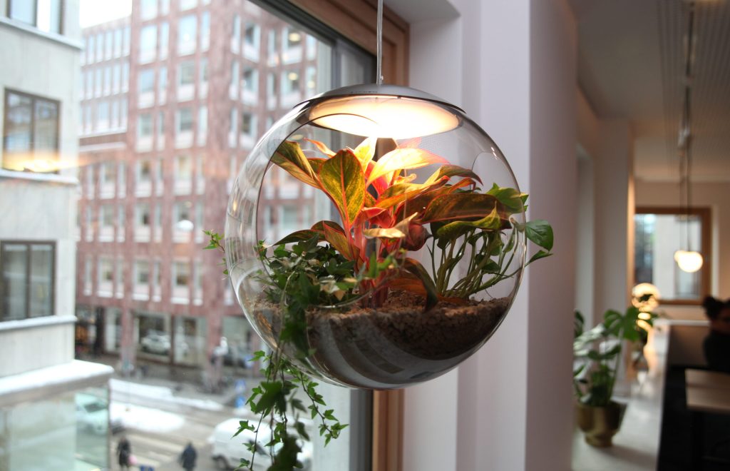 cecil-coworking-babylone-light-plant-pot-stockholm-2021-greenworks_01