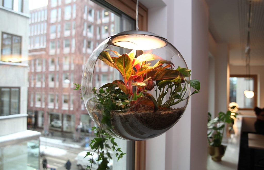 cecil-coworking-babylone-light-plant-pot-stockholm-2021-greenworks_01