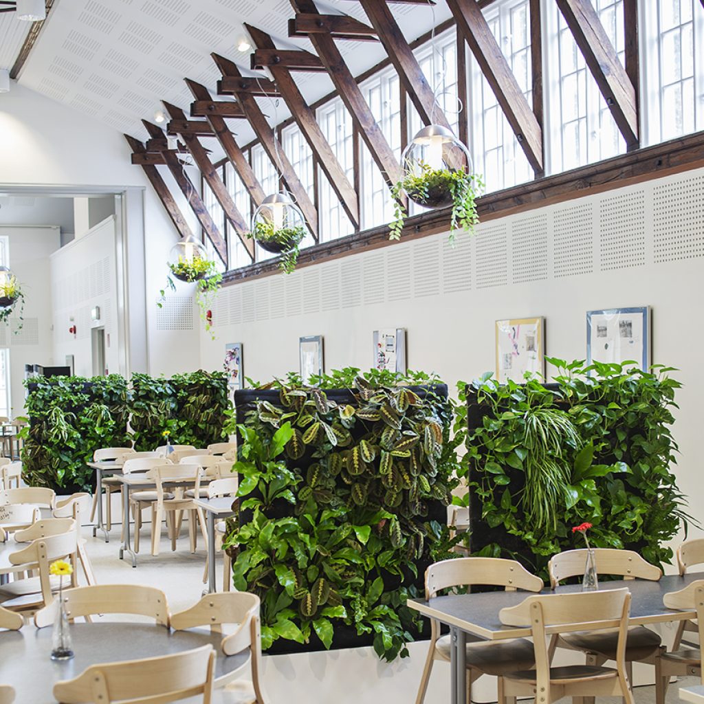 moving-hedge-room-divider-eslov-skola-sodertalje-2013-greenworks_light