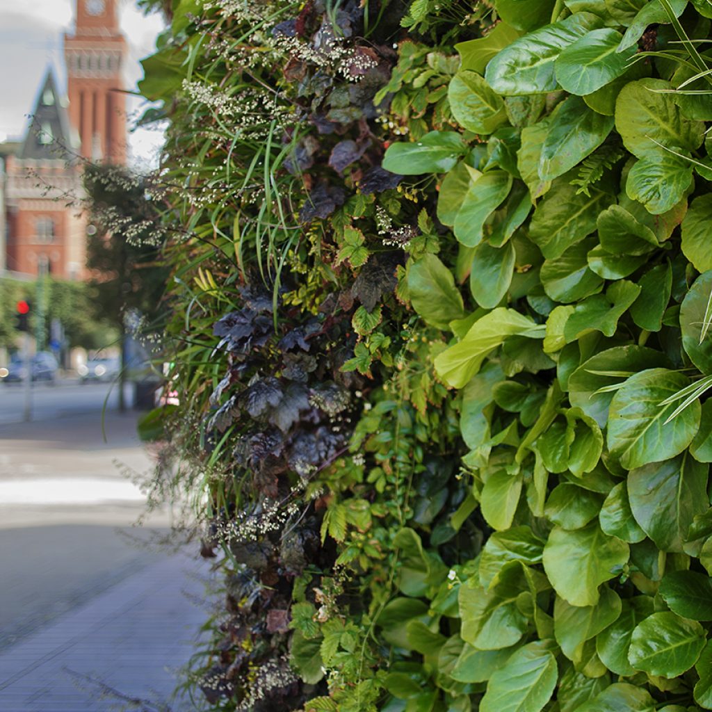 pumphuset-outdoor-vertical-garden-helsingborg-2013-greenworks-02
