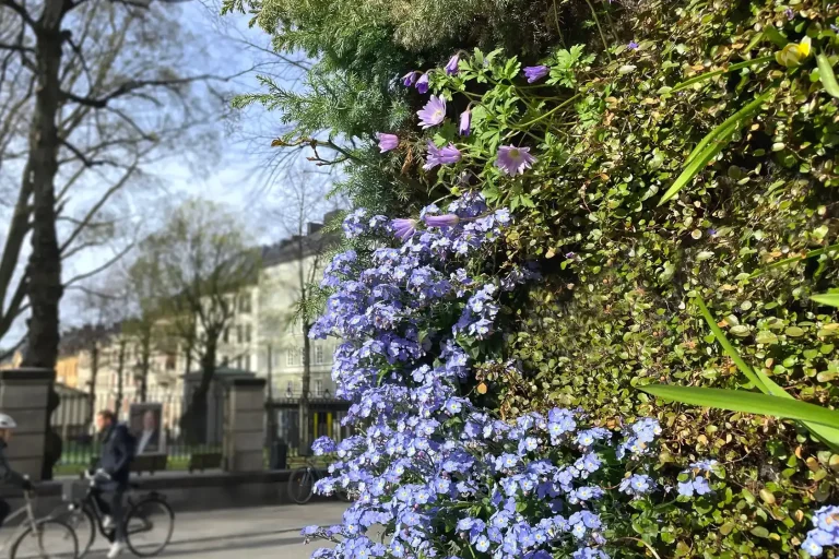 Storgatan 1, vertikala växtväggar utomhus