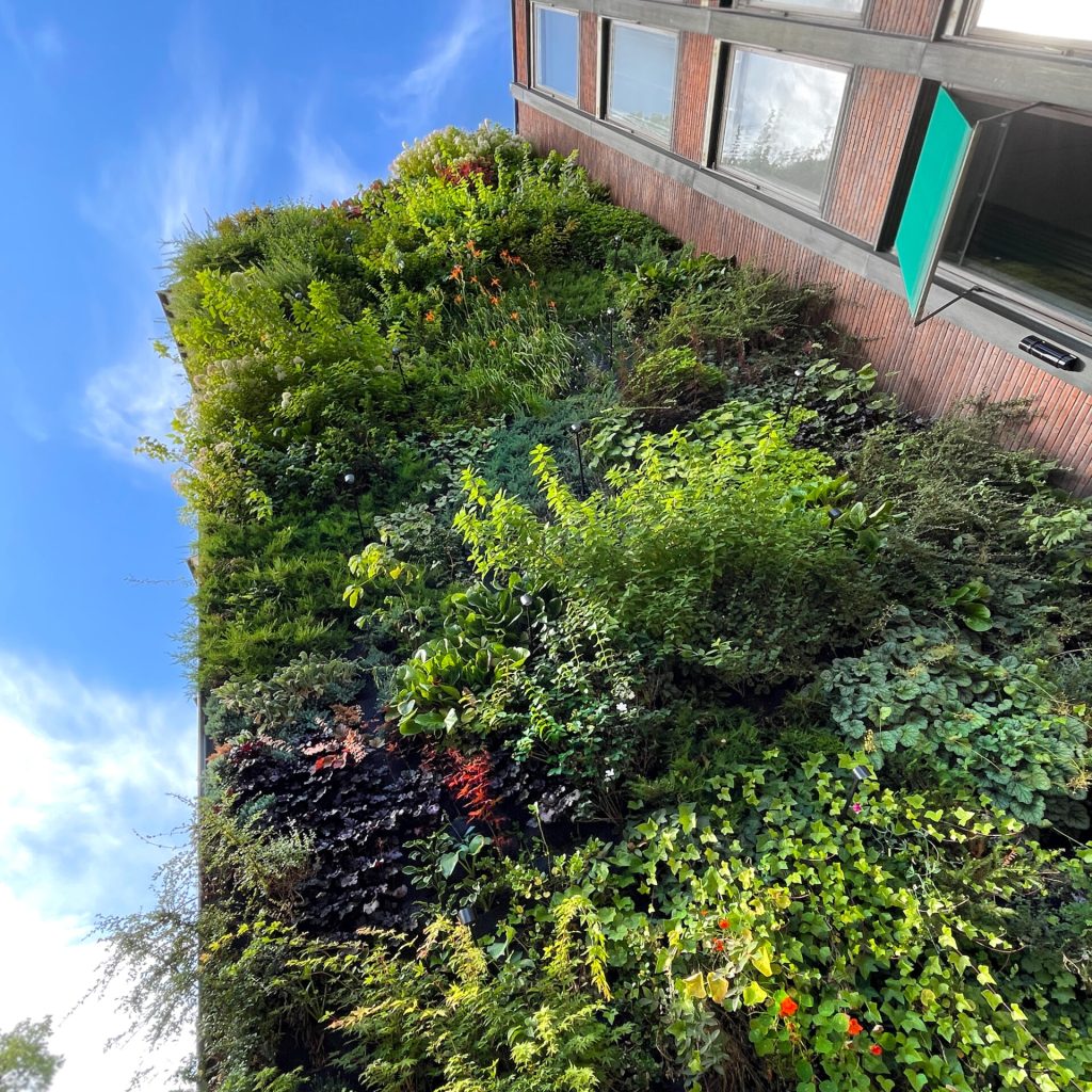 storgatan1-outdoor-vertical-garden-stockholm-2023.08-greenworks_02