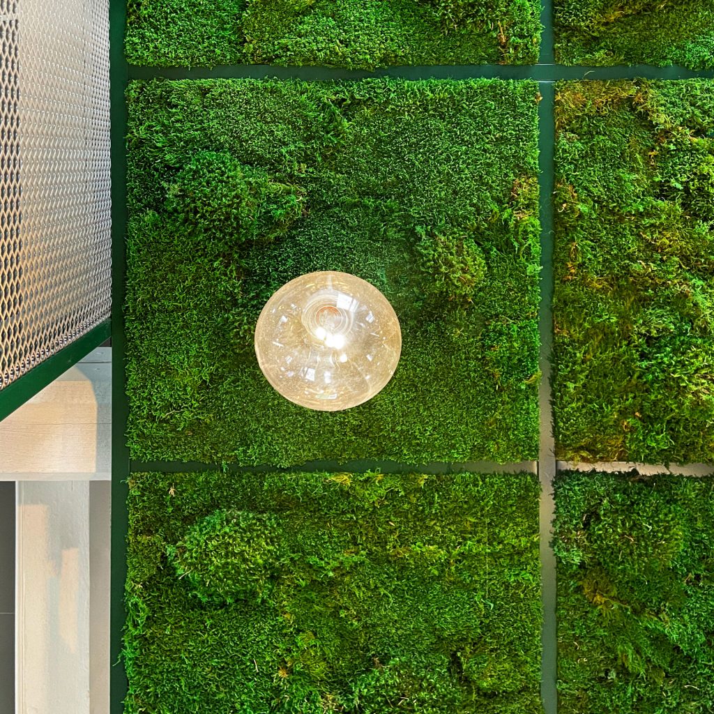 tekniska-museet-indoor-vertical-garden-moss-ceiling-stockholm-2022-greenworks